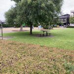 １年4か月越しのラジオ体操参加